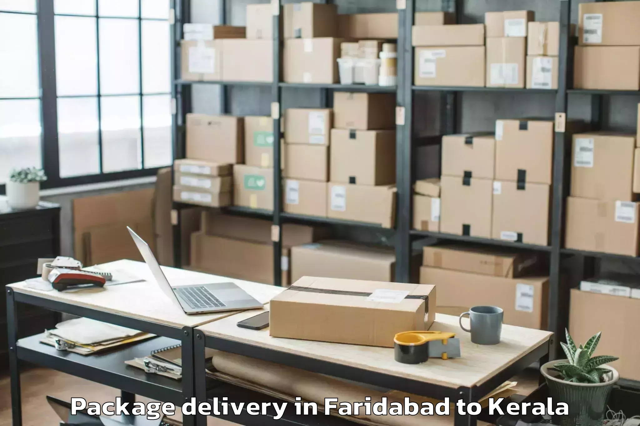 Professional Faridabad to Ayoor Package Delivery